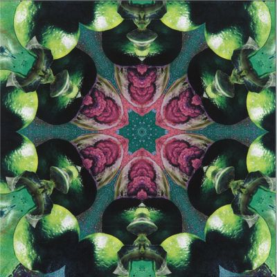 Jon Doppler — The Artifact vinyl cover
