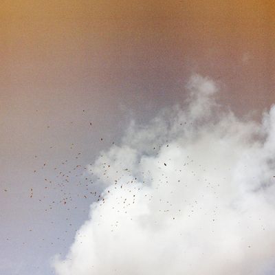 Artefakt, Kmru — Collaborations III vinyl cover