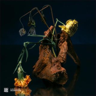 Various — Curation One: Oscar Mulero vinyl cover