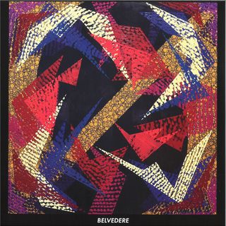 Vhinz — Belvedere vinyl cover