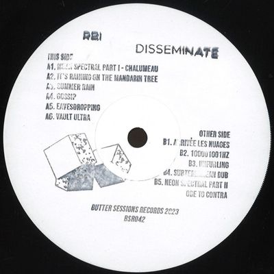Rbi — Disseminate LP vinyl cover