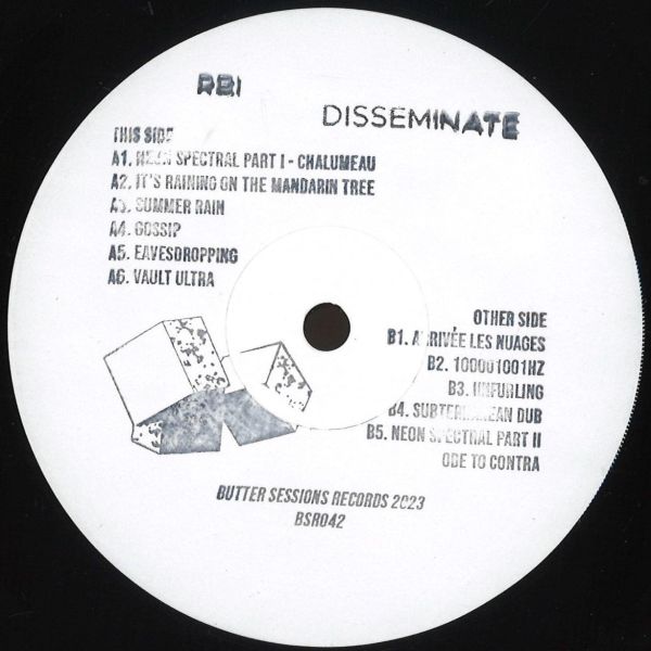 Rbi — Disseminate LP vinyl cover