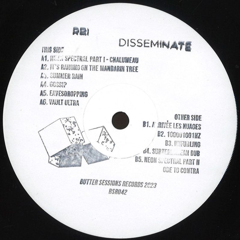 Rbi — Disseminate LP vinyl cover