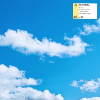 Netsky — Everybody Loves The Sunshine/Memory Lane vinyl cover