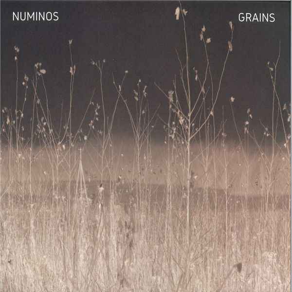 Numinos — Grains vinyl cover