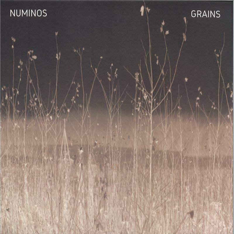 Numinos — Grains vinyl cover