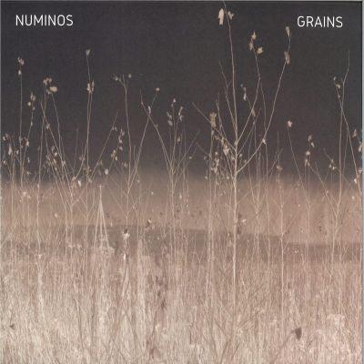 Numinos — Grains vinyl cover
