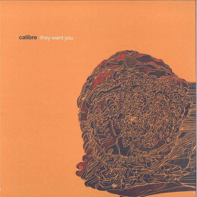 Calibre — They want you 3x12" vinyl cover