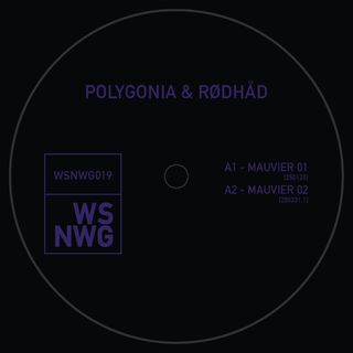 Polygonia