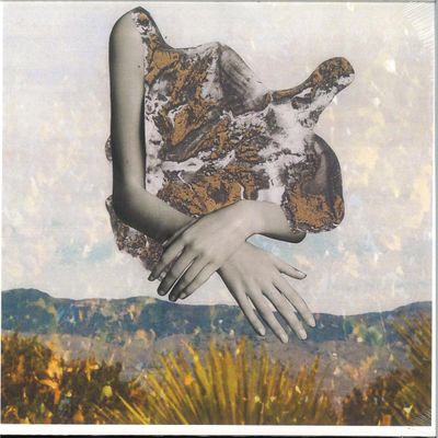 Almost An Island — Almost An Island vinyl cover