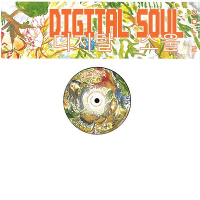 Sina Hill — DIGITAL SOUL, Vol. 2 vinyl cover