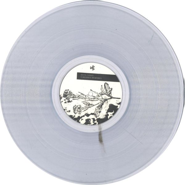 Ireen Amnes — Forbidden Memories EP vinyl cover