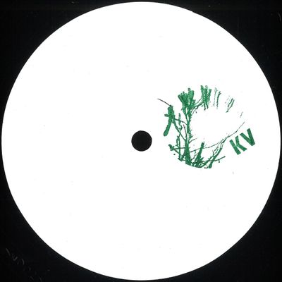 Pod, Edward Richards — Temporal Loop Transcendance w/ Pugilist Remix vinyl cover