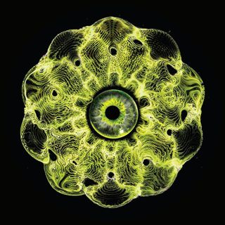 Strack — Voices Within EP vinyl cover