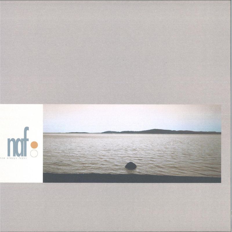 Now Always Fades — Into The Doldrums vinyl cover