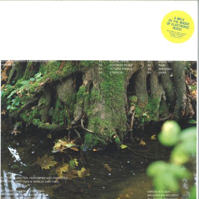 Gosha Martynov, Natasha Sinyakova — Imena Rek (LP) vinyl cover