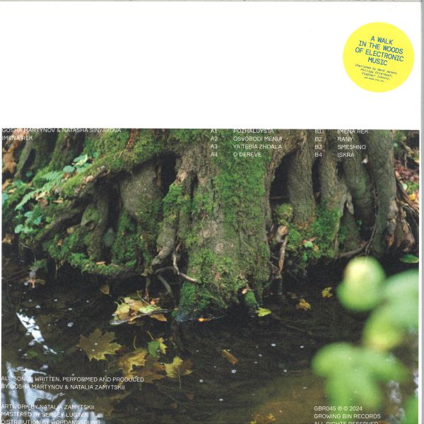 Gosha Martynov, Natasha Sinyakova — Imena Rek (LP) vinyl cover