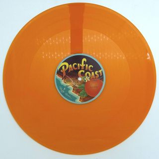 The Coastal Commission, Jesse Outlaw — Bring Down The Walls vinyl cover