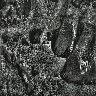 Coaxial System — Institut Night Edt. vinyl cover