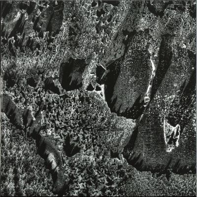 Coaxial System — Institut Night Edt. vinyl cover