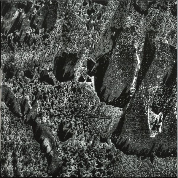 Coaxial System — Institut Night Edt. vinyl cover