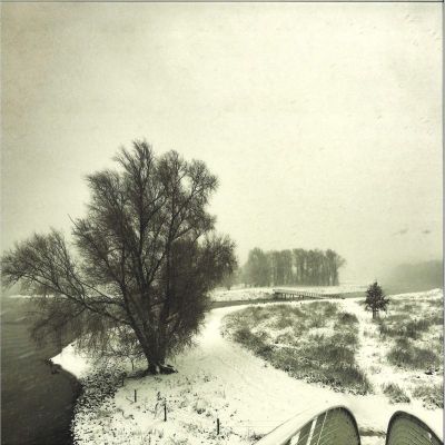 Beequeen — Winter vinyl cover