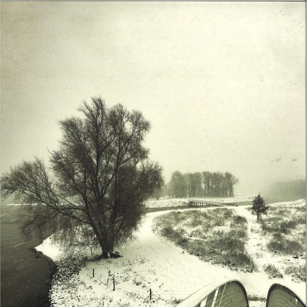 Beequeen — Winter vinyl cover