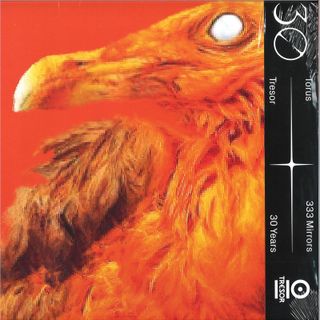 Torus — 333 Mirrors vinyl cover