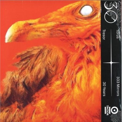 Torus — 333 Mirrors vinyl cover
