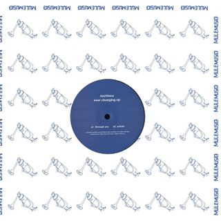 Martinou — Ever Changing EP vinyl cover