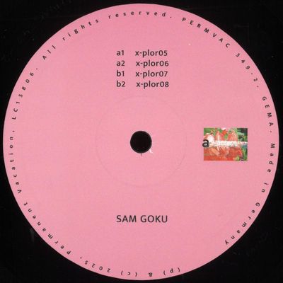 Sam Goku — Explorations 02 vinyl cover