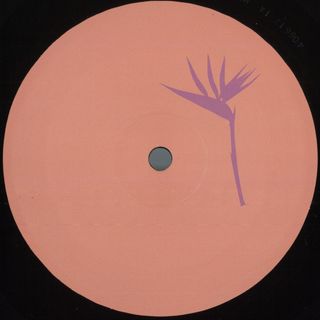 Daniel Meister — Lanao Izany EP vinyl cover