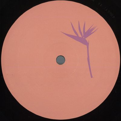 Daniel Meister — Lanao Izany EP vinyl cover
