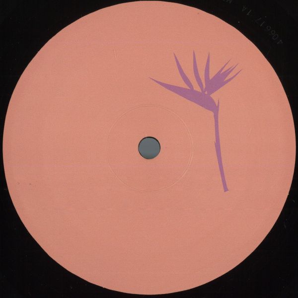 Daniel Meister — Lanao Izany EP vinyl cover