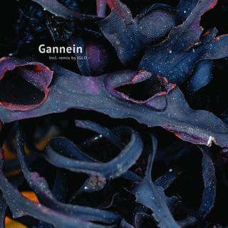 Gannein — Lux [Printed Sleeve] vinyl cover