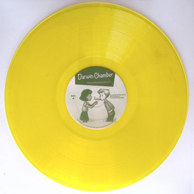 Darwin Chamber — Can You Pass The Acid Test? (feat DJ Spun mix) vinyl cover