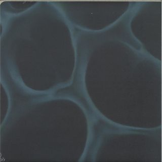 Blndr — Radiolaria vinyl cover