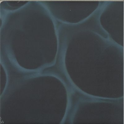 Blndr — Radiolaria vinyl cover