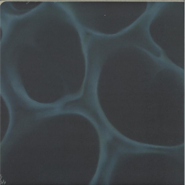 Blndr — Radiolaria vinyl cover