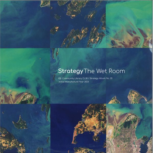 Strategy — The Wet Room LP vinyl cover