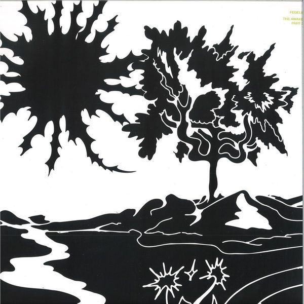 Fedele — The Awake, Pt. 2 vinyl cover