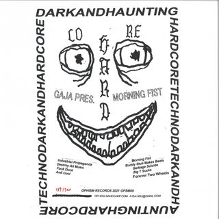 Gaja — Morning Fist LP vinyl cover