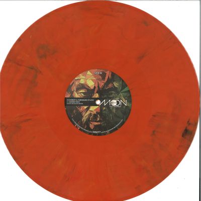 Echoboy — Rasta We Rasta vinyl cover