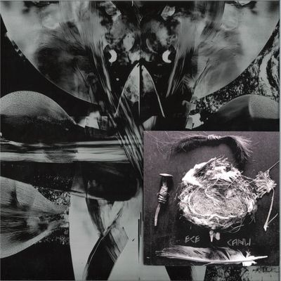 Ece Canli — VOX FLORA VOX FAUNA LP vinyl cover
