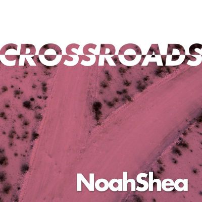 Noahshea, Danilo Braca — CROSSROADS EP vinyl cover