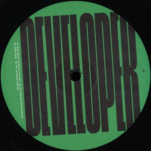 Developer — Archive 011 vinyl cover