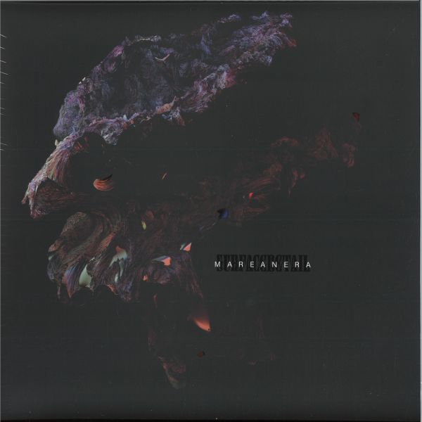 Surface Detail — Marea Nera LP vinyl cover