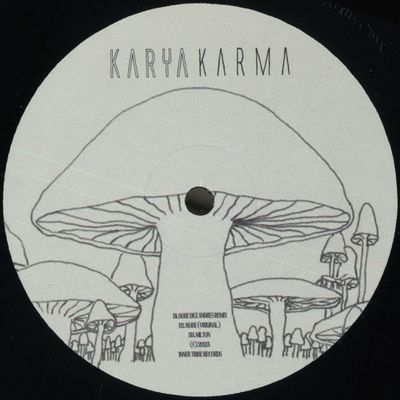 Karya — Karma vinyl cover