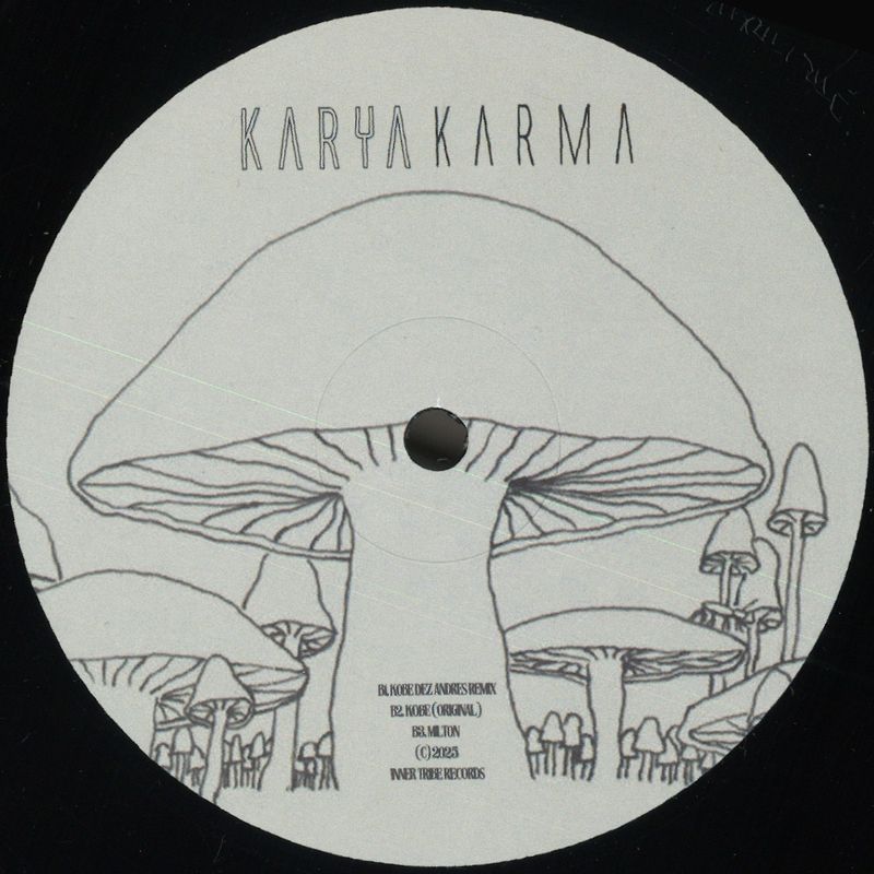 Karya — Karma vinyl cover