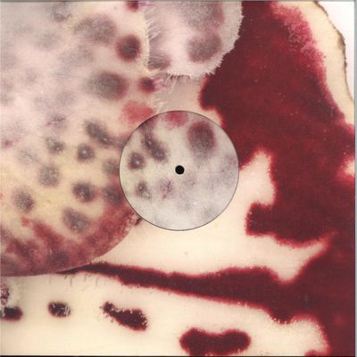 Fiona Zanetti — Red Light Therapy vinyl cover